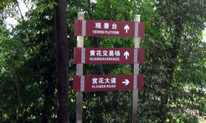 空降門(mén)